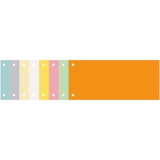 Exacompta Forever - Divisorio - 100 parti - per 105 x 240 mm - orizzontale - gi…