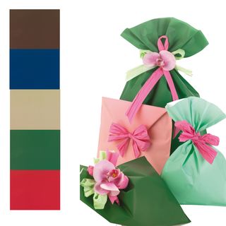Busta regalo Mat Pearly A - 20 x 35 cm - 40 micron - PPL - assortimento 5 color…